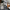 https://kueberit.com/storage/2069/Fotoaktion_Bild2.png